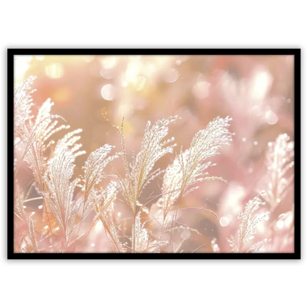 Erba della pampas - immagine 2