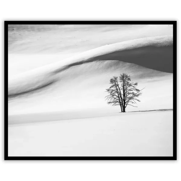 Dune di neve, Hayden Valley - immagine 2